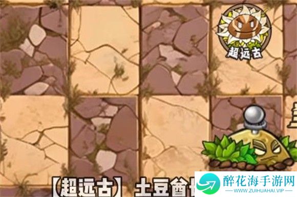 植物大战僵尸神奇植物版