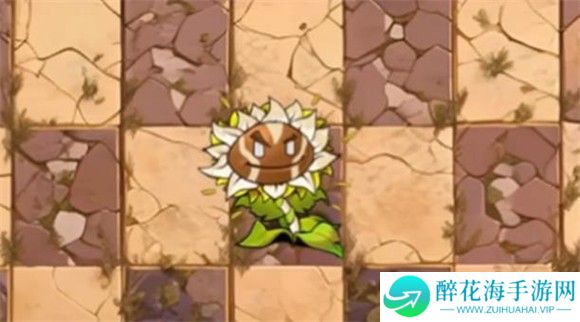 植物大战僵尸神奇植物版