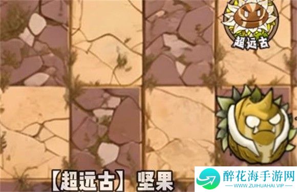 植物大战僵尸神奇植物版