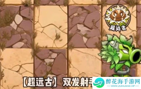 植物大战僵尸神奇植物版