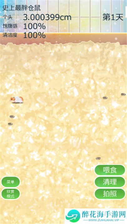 治愈仓鼠养成