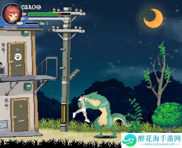 米莉亚战记dx