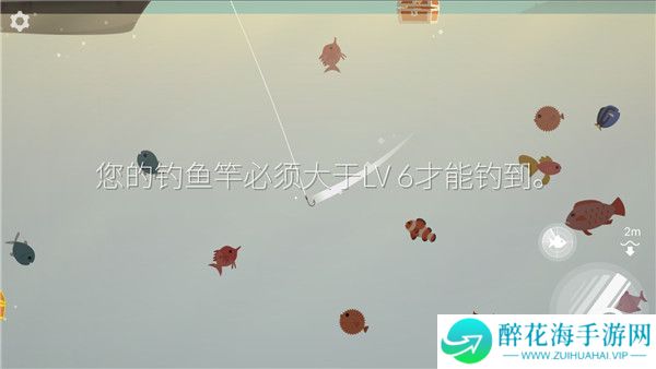 钓鱼人生2025