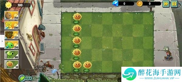 植物大战僵尸异域探险多人版图片9