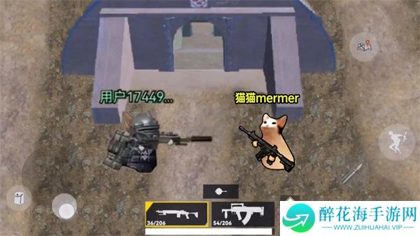 猫猫地铁逃生2025