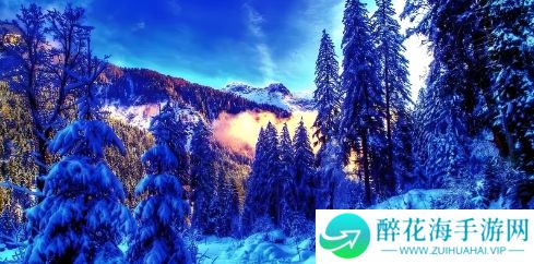 绝地求生赛事奖金分配合理性探讨&如何优化奖金结构提升电竞公平性