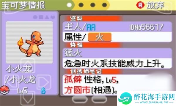 口袋妖怪白金