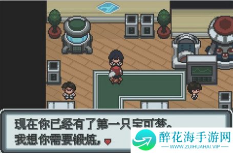 口袋妖怪白金