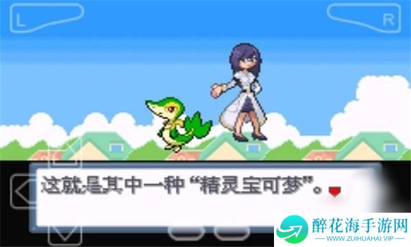 口袋妖怪白金