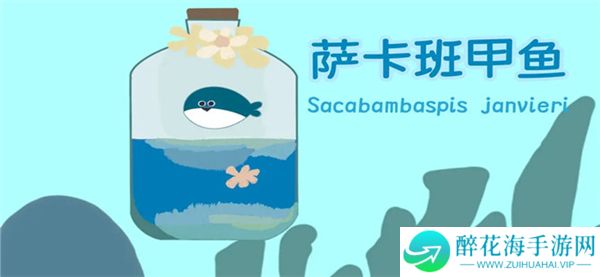 萨卡班甲鱼2025