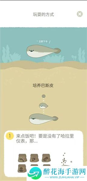 萨卡班甲鱼2025