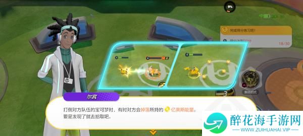 宝可梦大集结体验服下载