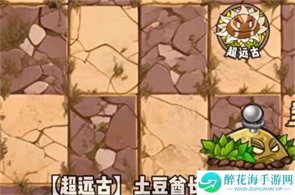 植物大战僵尸神奇植物