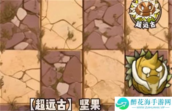 植物大战僵尸神奇植物