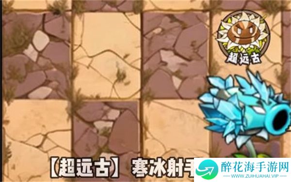 植物大战僵尸神奇植物