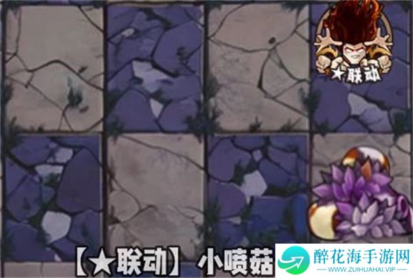 植物大战僵尸神奇植物