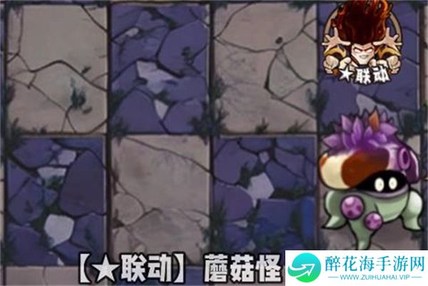 植物大战僵尸神奇植物