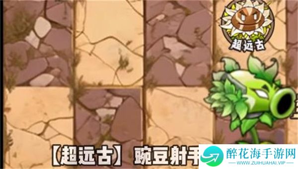 植物大战僵尸神奇植物