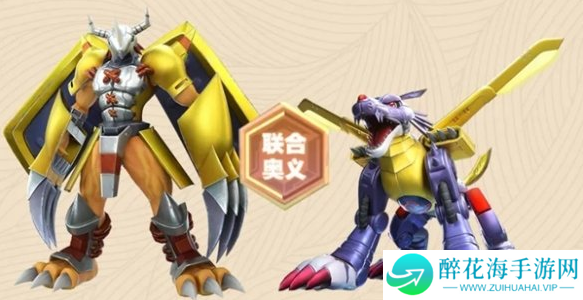 数码宝贝源码联合奥义是什么