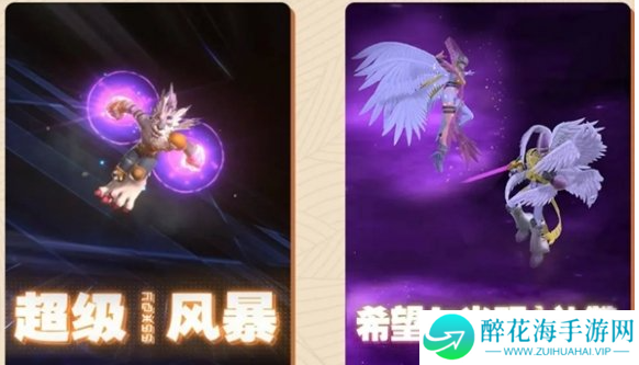 数码宝贝源码联合奥义是什么