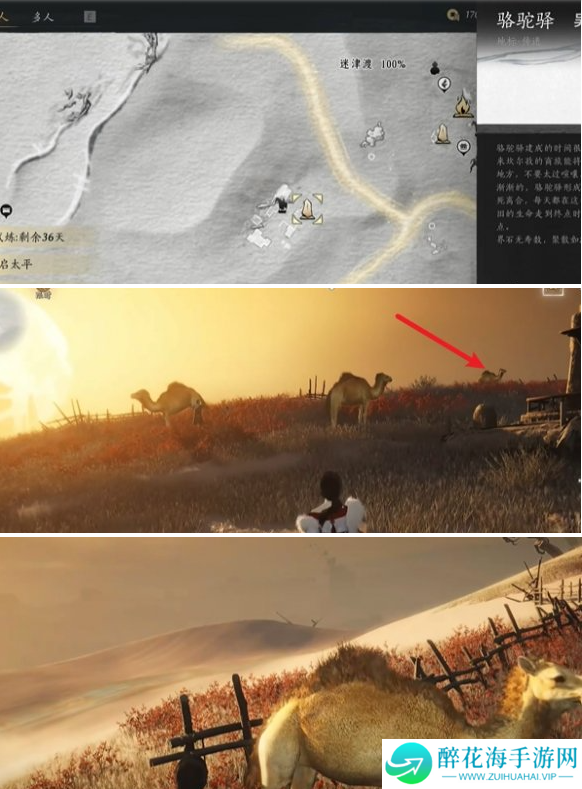 燕云十六声骆驼铃铛任务怎么做