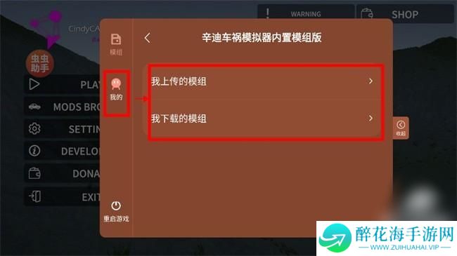 辛迪车祸模拟器0.41
